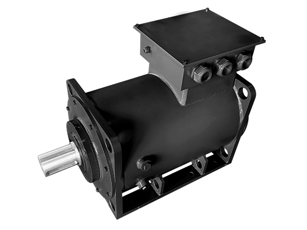 低壓永磁同步電機